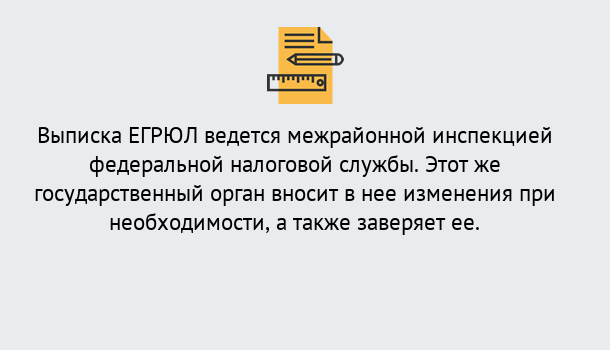 Почему нужно обратиться к нам? Шуя Выписка ЕГРЮЛ в Шуя ?