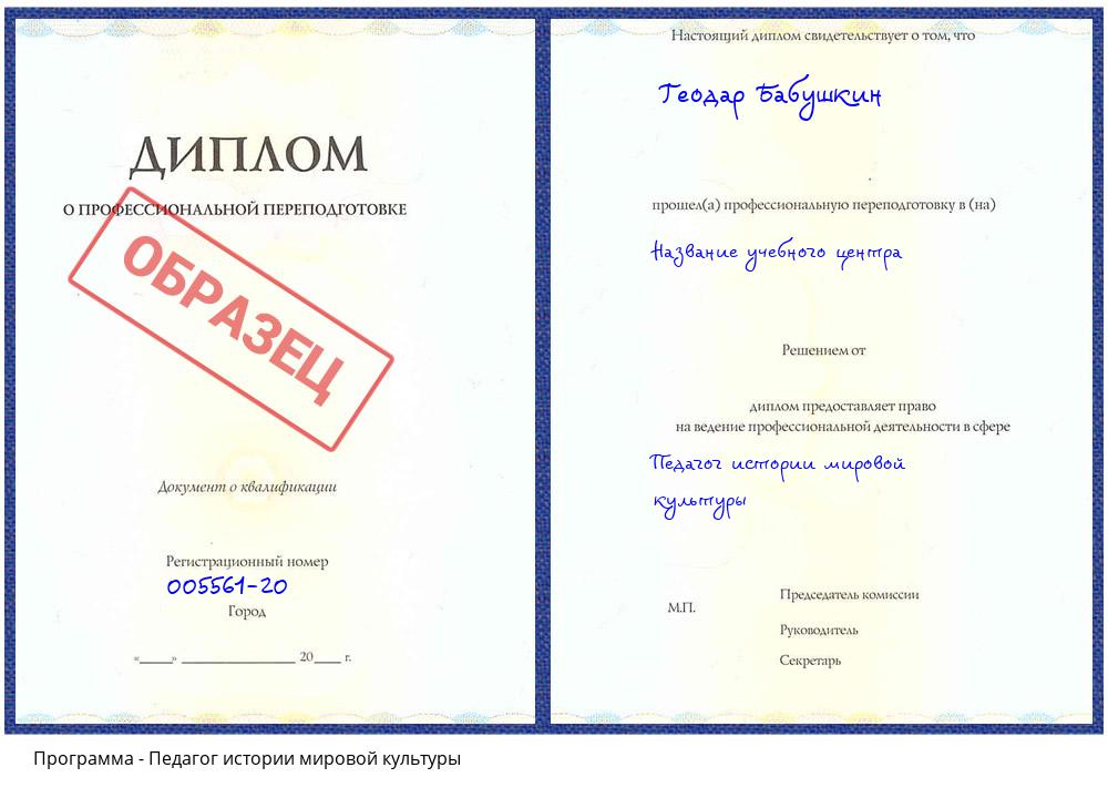 Педагог истории мировой культуры Шуя