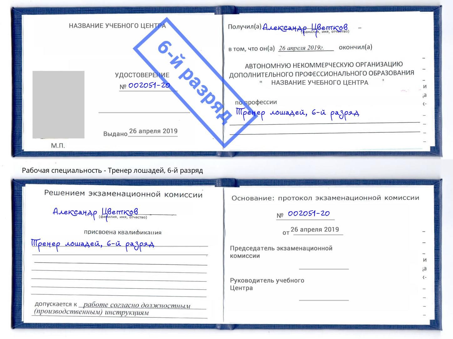 корочка 6-й разряд Тренер лошадей Шуя