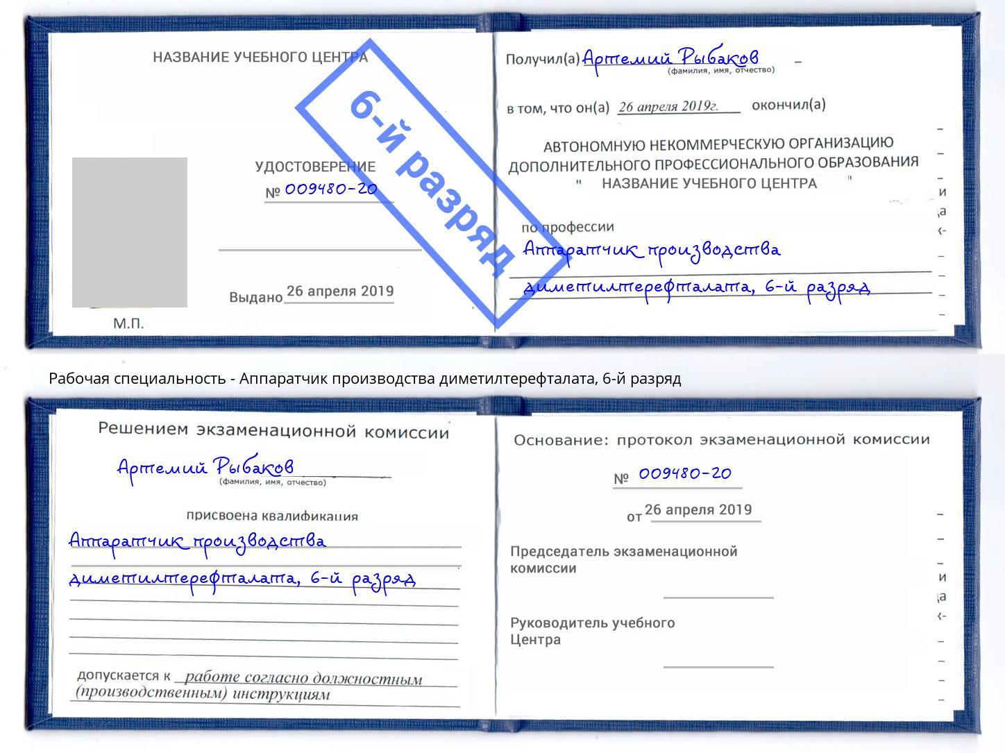 корочка 6-й разряд Аппаратчик производства диметилтерефталата Шуя