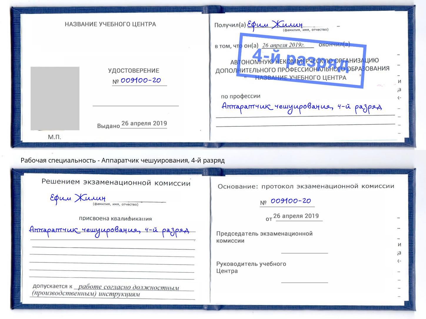 корочка 4-й разряд Аппаратчик чешуирования Шуя