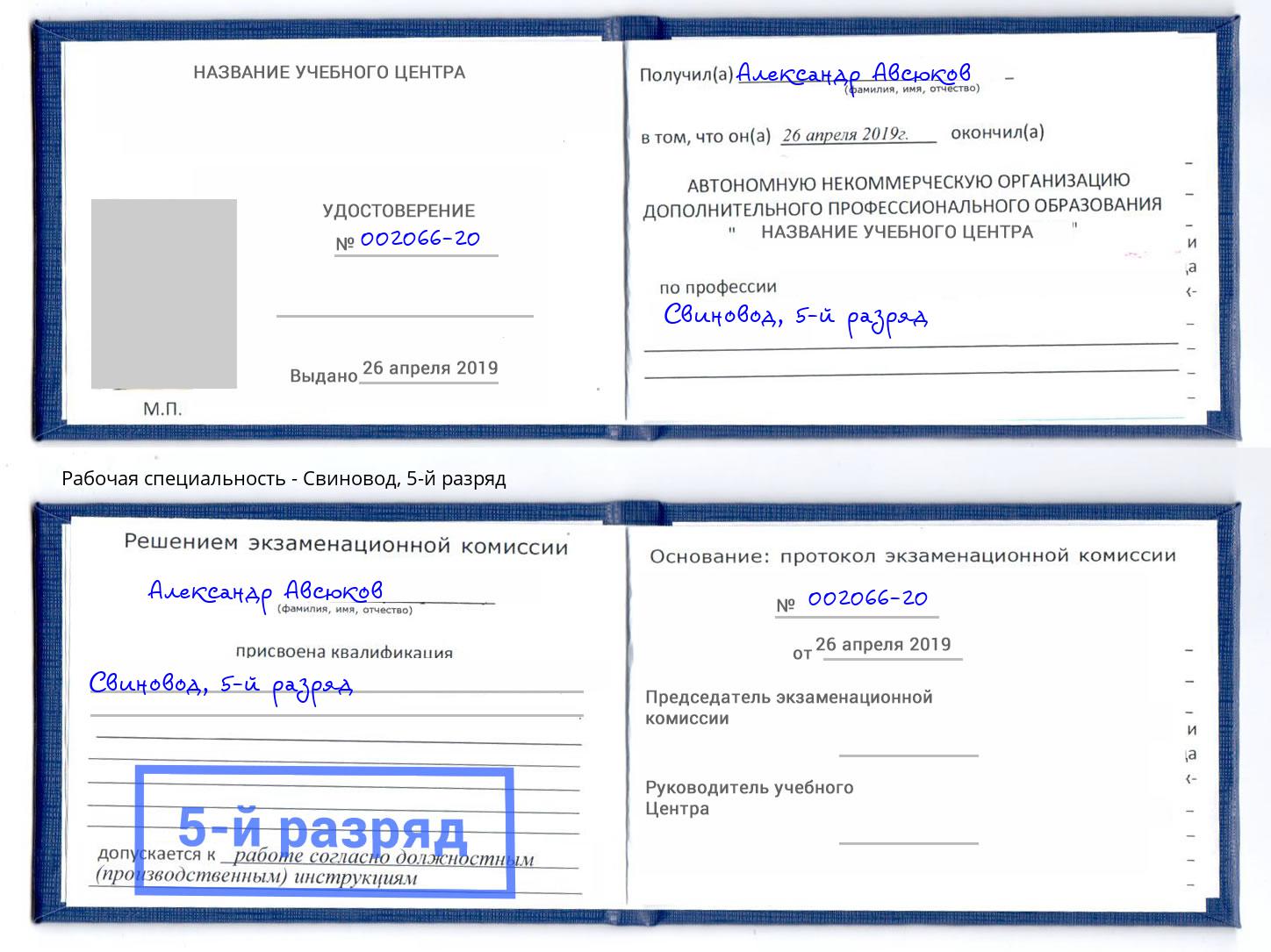 корочка 5-й разряд Свиновод Шуя