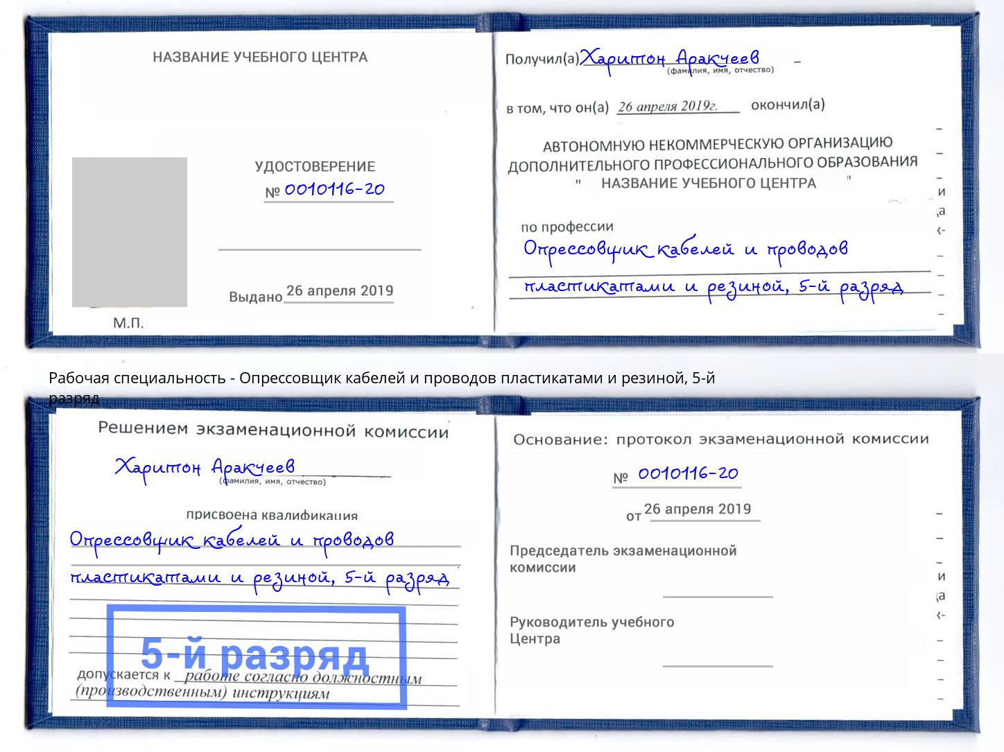 корочка 5-й разряд Опрессовщик кабелей и проводов пластикатами и резиной Шуя
